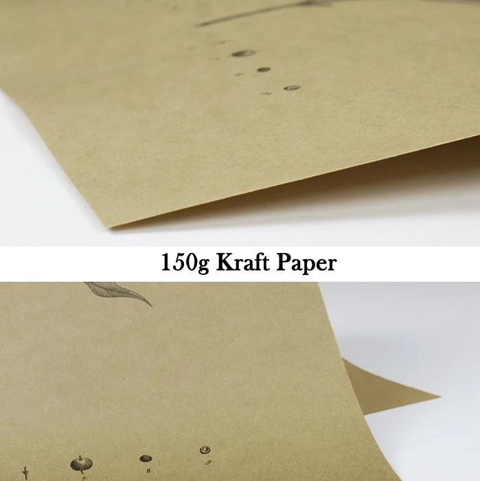 Spielberg Films Jurassic Park Jaws Retro Poster Vintage Posters Prints Decor Wall Painting Bar Home - 6