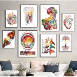 Medical Education Office Picture Posters Canvas Painting Human Anatomy Muscle System Art Print Watercolor Figure