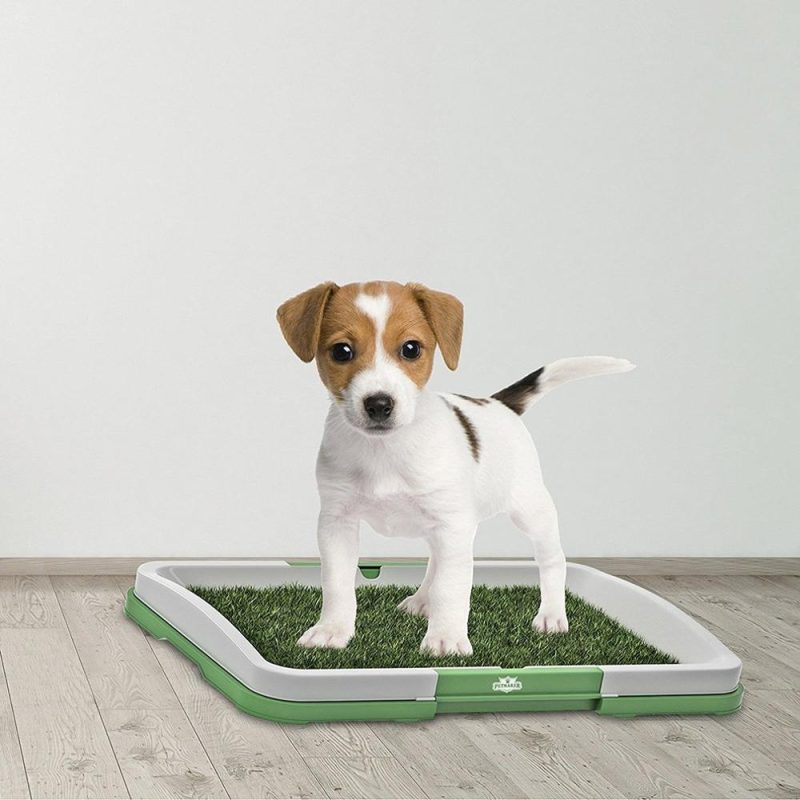 Indooroutdoor Puppy Potty Tray Easy Clean Dog Toilet Training Litter