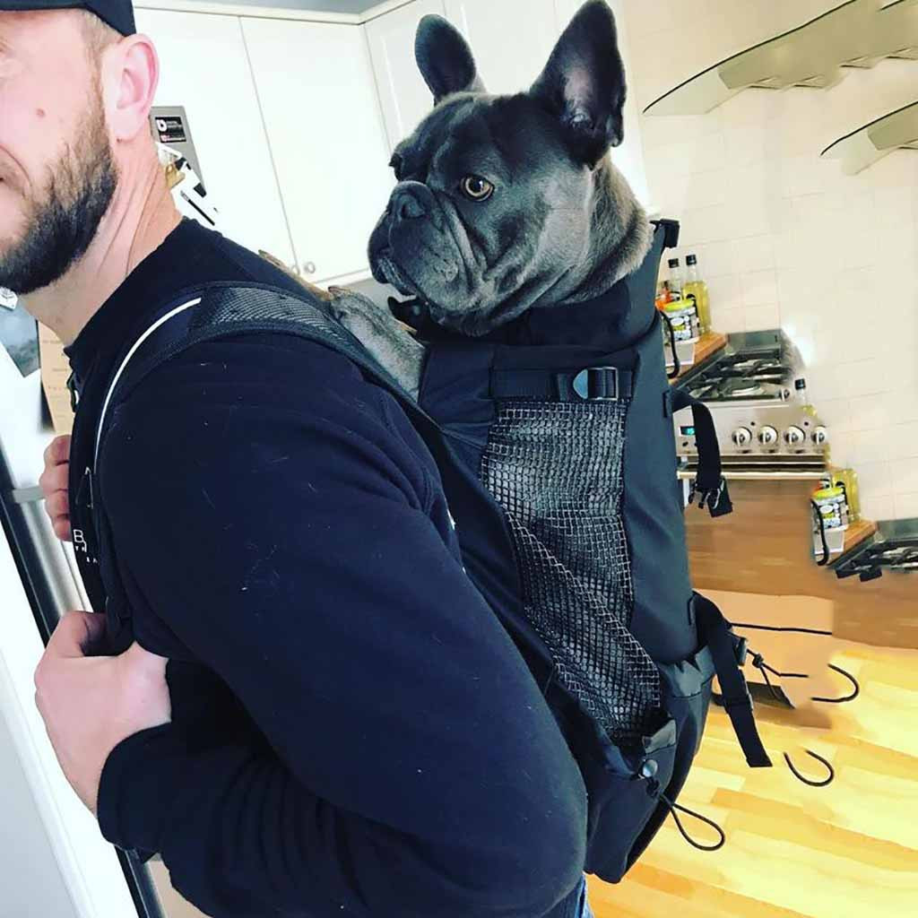 Large Pet Backpack Carrier For Dogs Cats Puppies Chihuahuas Comfortable Front Chest Travel Bag - 5