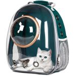 Astronaut Bubble Outdoor Carrying Cat Travel Bag Breathable Space Capsule Transparent Carrier Pet Backpack For Small Dog