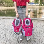 Outdoor Double Shoulder Portable Travel Backpack Pet Cat Dog Carrier Bag Front Nylon Mesh Head - 5