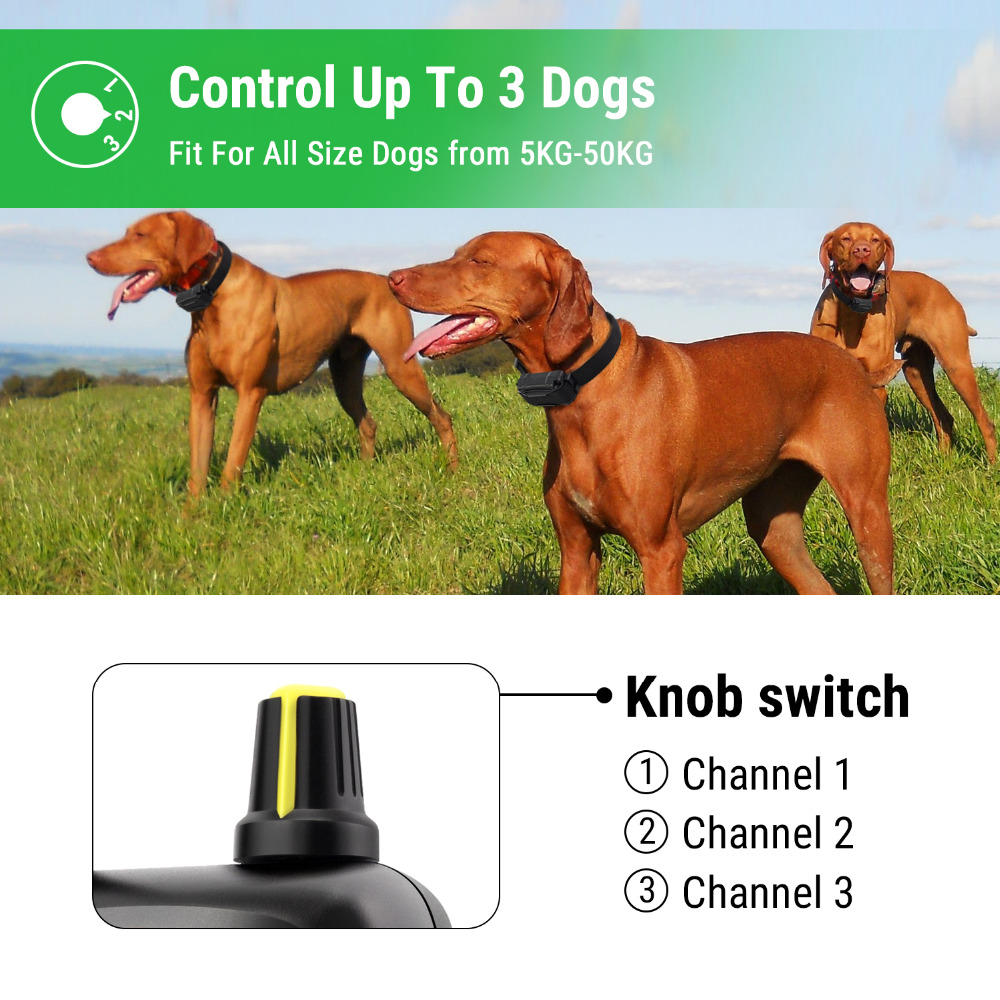 Petrainer 9001 Advanced Multidog System 1000m Remote Control Dog Training Collar Antibark Controller Waterproof And Rechargeable - 2