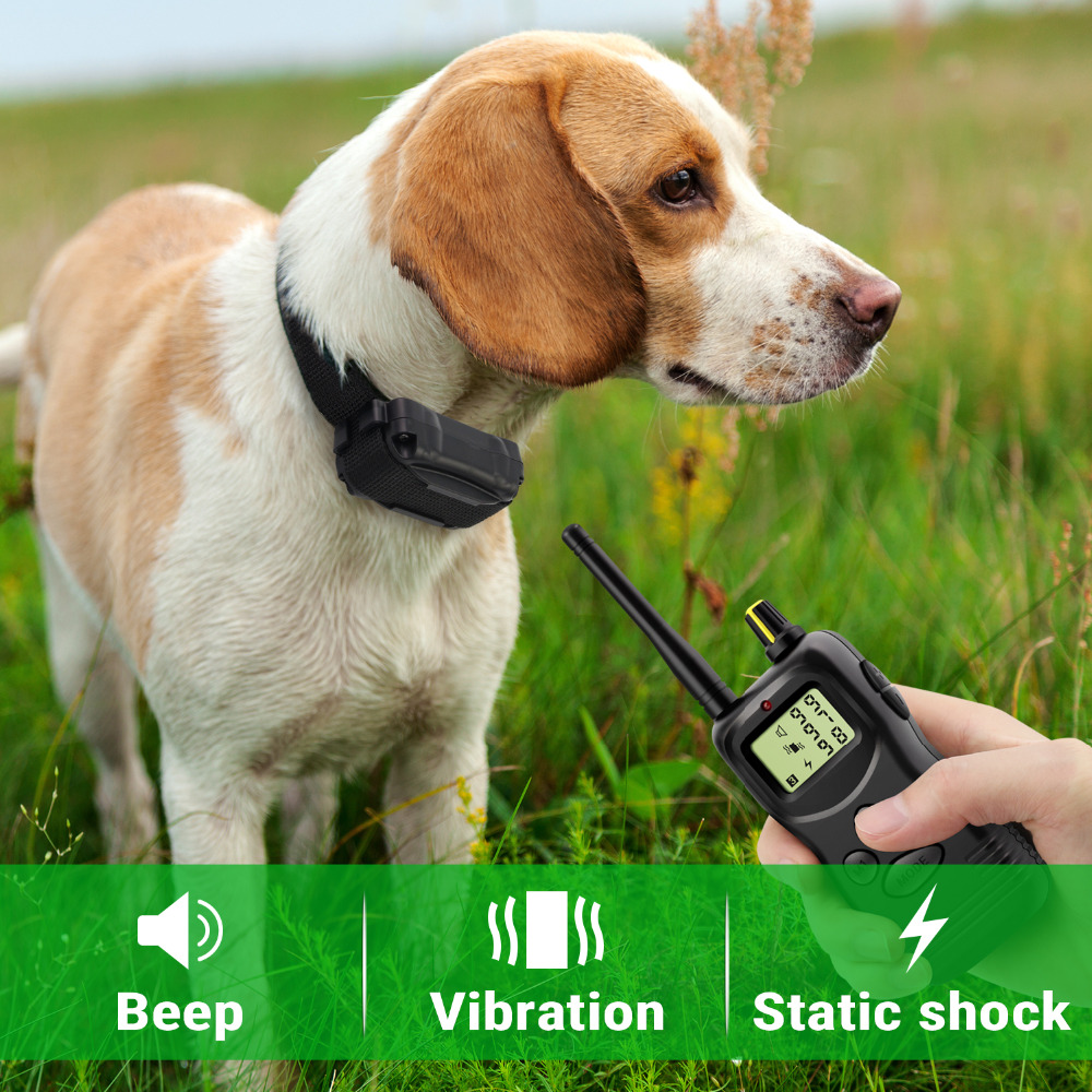 Petrainer 9001 Multidog System 1000m Remote Control Training