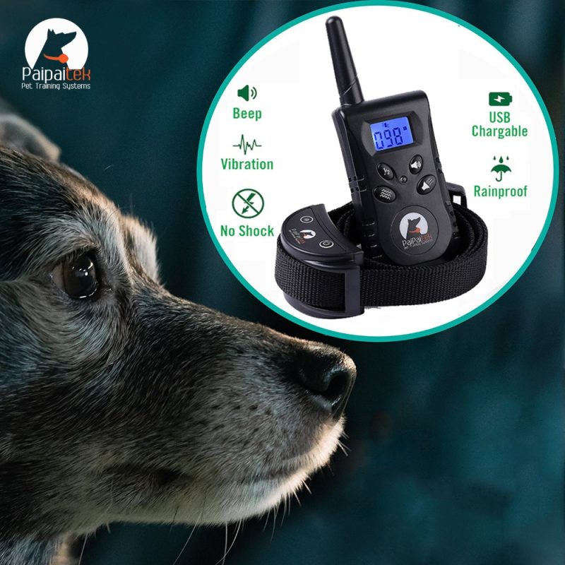 Paipaitek Rechargeable Noshock Dog Training Collar With Waterproof