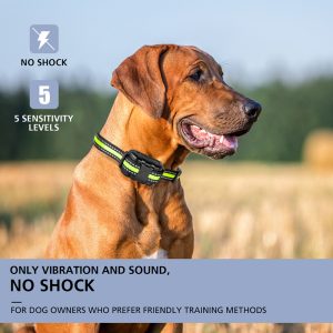 Anti Bark Collar Rechargeable Beep Vibration No Electric Shock Dog Training For Small Medium Large Dogs - 2