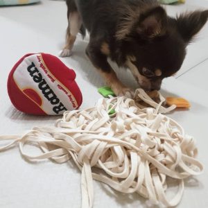 Dogs Snuffle Toy Treats Pet Leak Food Anti Cat Dog Training Nose Work Feeding - 2