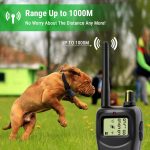 Petrainer 1000m 900b-1 Rechargeable And Waterproof Remote Shock Collars For Dog Training Vibrate & Electric Collar - 2