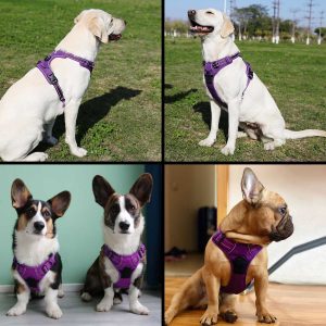 Truelove No Pull Dog Harness Adjustable Safety Nylon Large Pet Vest Padded Reflective Outdoor For Dogs Leash Control - 2