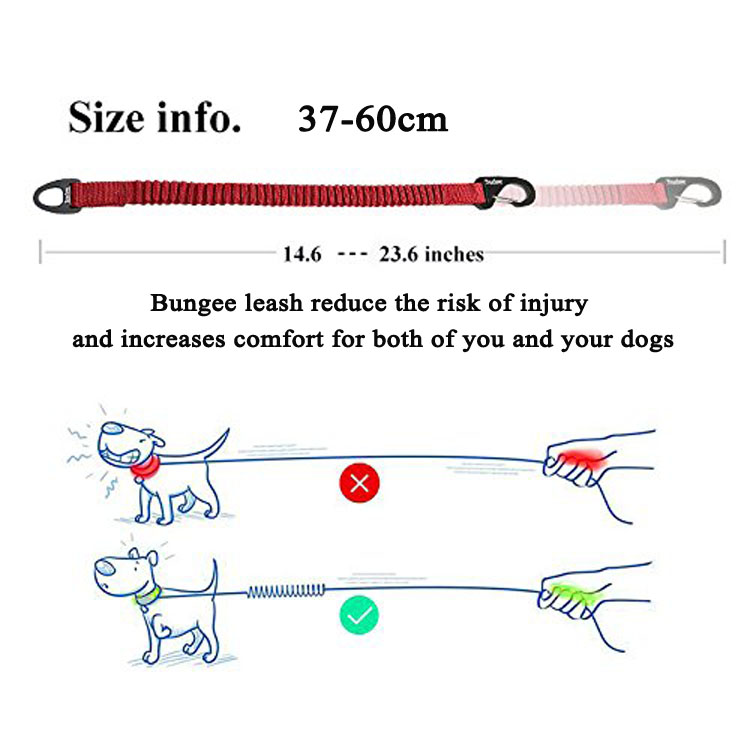 Truelove Retractable Nylon Bungee Dog Leash Perfect For Running Walking And Training Short Elastic Extension - 1