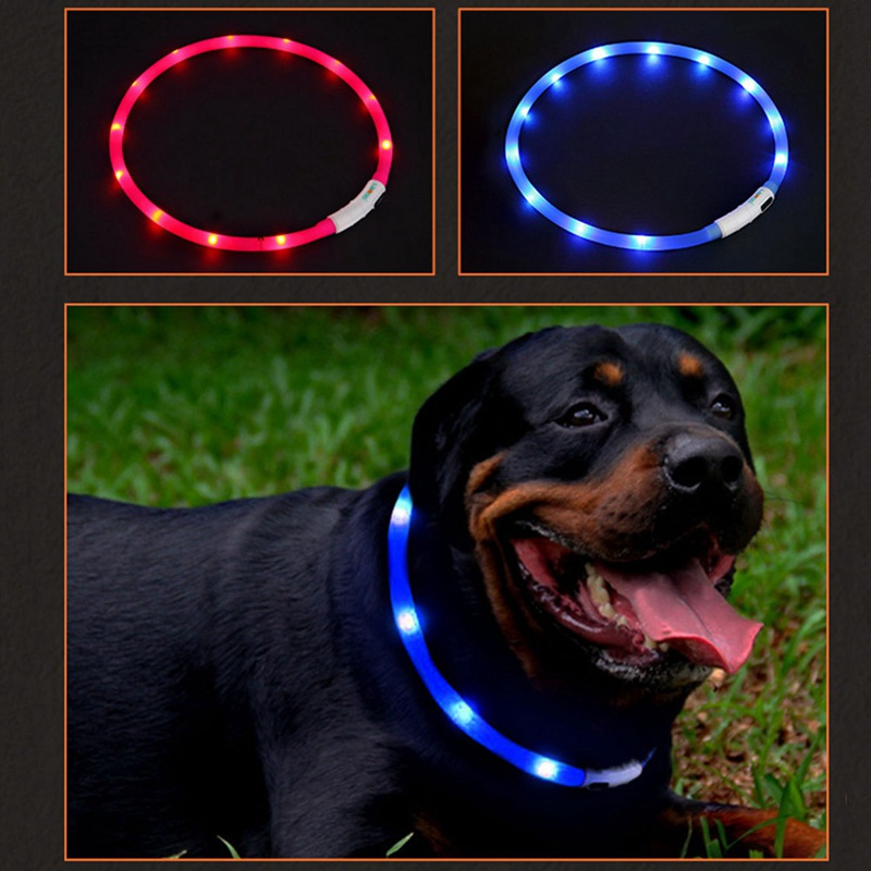 Usb Rechargeable Led Light Glowing Pet Collar Night Safety Flashing Luminous Dog Collars For Teddy Breed - 3