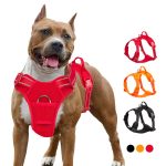 Truelove Pet Dog Harness Breathable Mesh Padded Outdoor Sport No Pull Vest Adjustable For Medium Large Accessories