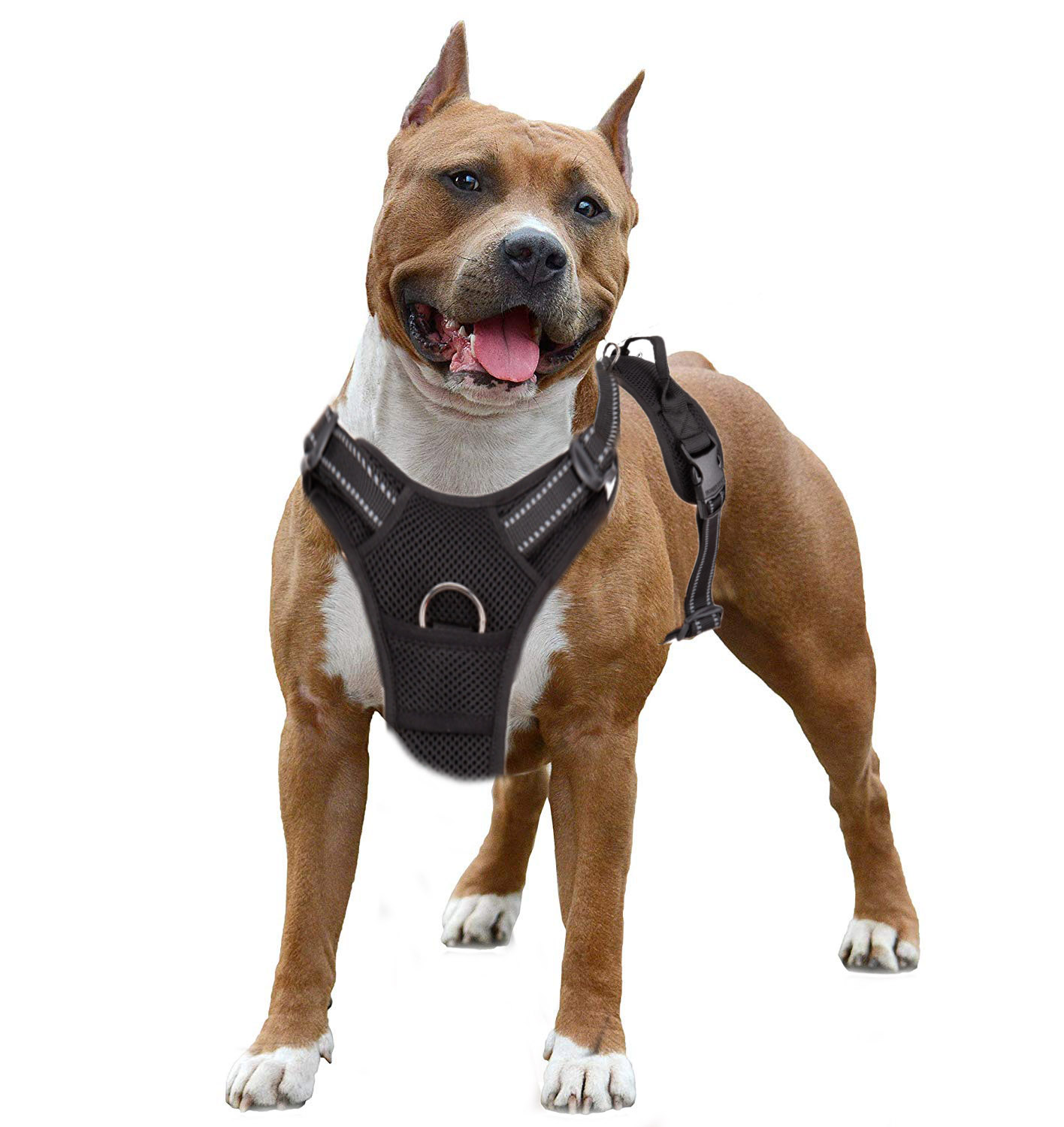 Truelove Nopull Dog Harness Adjustable Breathable Mesh Padded Medium To Large Outdoor Sport Pet Accessories - 6