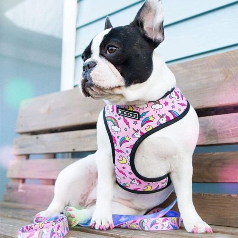 Nopull Breathable Dog Harness And Leash Set For Small To Medium Dogs Pugs French Bulldogs Puppies - 6