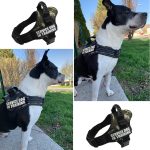 K9 Dog Harness Nylon Adjustable Customize Name For Dogs Vest Collar Small Large Chihuahua Husky Accessories - 6