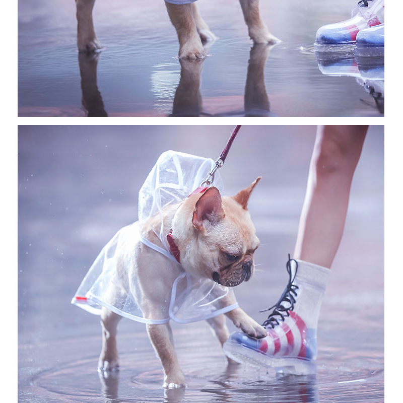 Waterproof Transparent Dog Raincoat By Mosodo Windproof Hooded Design For Small Medium Large Dogs - 11