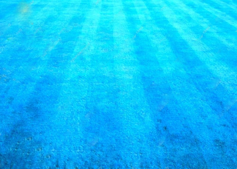 300pcs Blue Zoysia Grass Seeds Free Shipping Up to 70 OFF