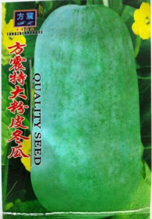 10g Giant Gourd Seeds - 2