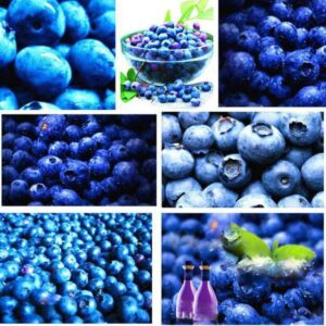 200pcs Blueberry Seeds for Growing - 1