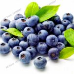 Organic Blueberry Seeds 100Pcs - 6