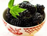 200Pcs Mulberry Trees Seeds - 4