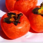 5PCS Exotic Kaki Seeds - 2
