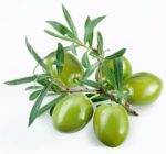 2 Pack Olive Tree Seeds - 1