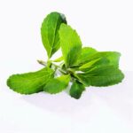 1000 Stevia Flores Seeds - 3