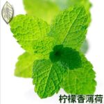 200pcs Lemon Peppermint Herb Seeds - 2