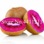 100 Pcs Fruity Mix YGPNutritious Tasty - 4