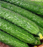 Japanese Cucumber Seeds 20pcs - 6