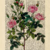 Tp3463-17