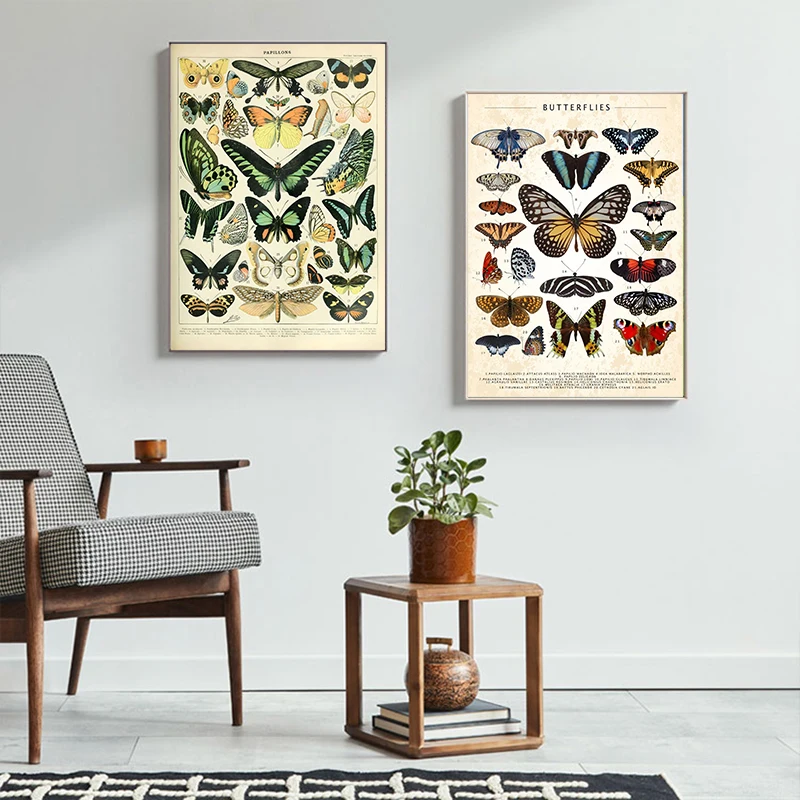 Vintage Aesthetic Butterfly Insect Collection Canvas Art For Home Decor - 11