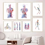 Skeleton Anatomy Canvas Wall Art Medical Office Physiotherapy Decor Poster - 2