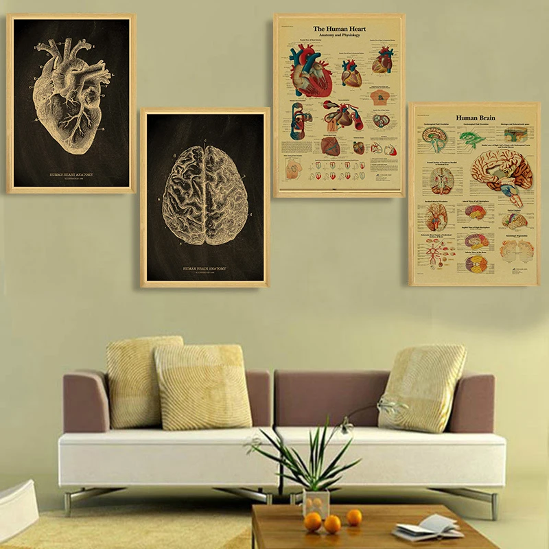 Vintage Anatomical Skeleton Medical Art Poster For Home Student Decor - 8